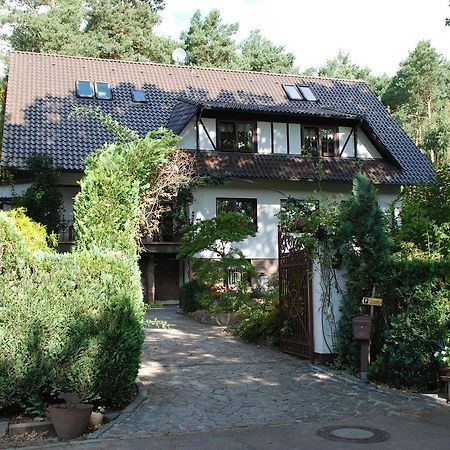 Pension Tannenspitze Wittenberg Экстерьер фото