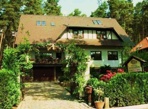Pension Tannenspitze Wittenberg Экстерьер фото