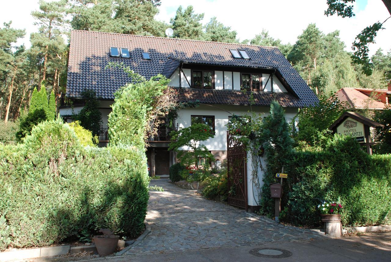 Pension Tannenspitze Wittenberg Экстерьер фото