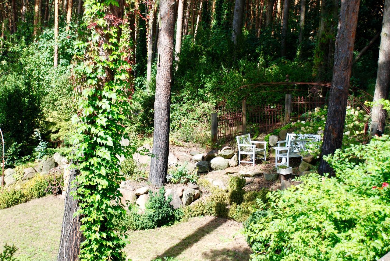 Pension Tannenspitze Wittenberg Экстерьер фото