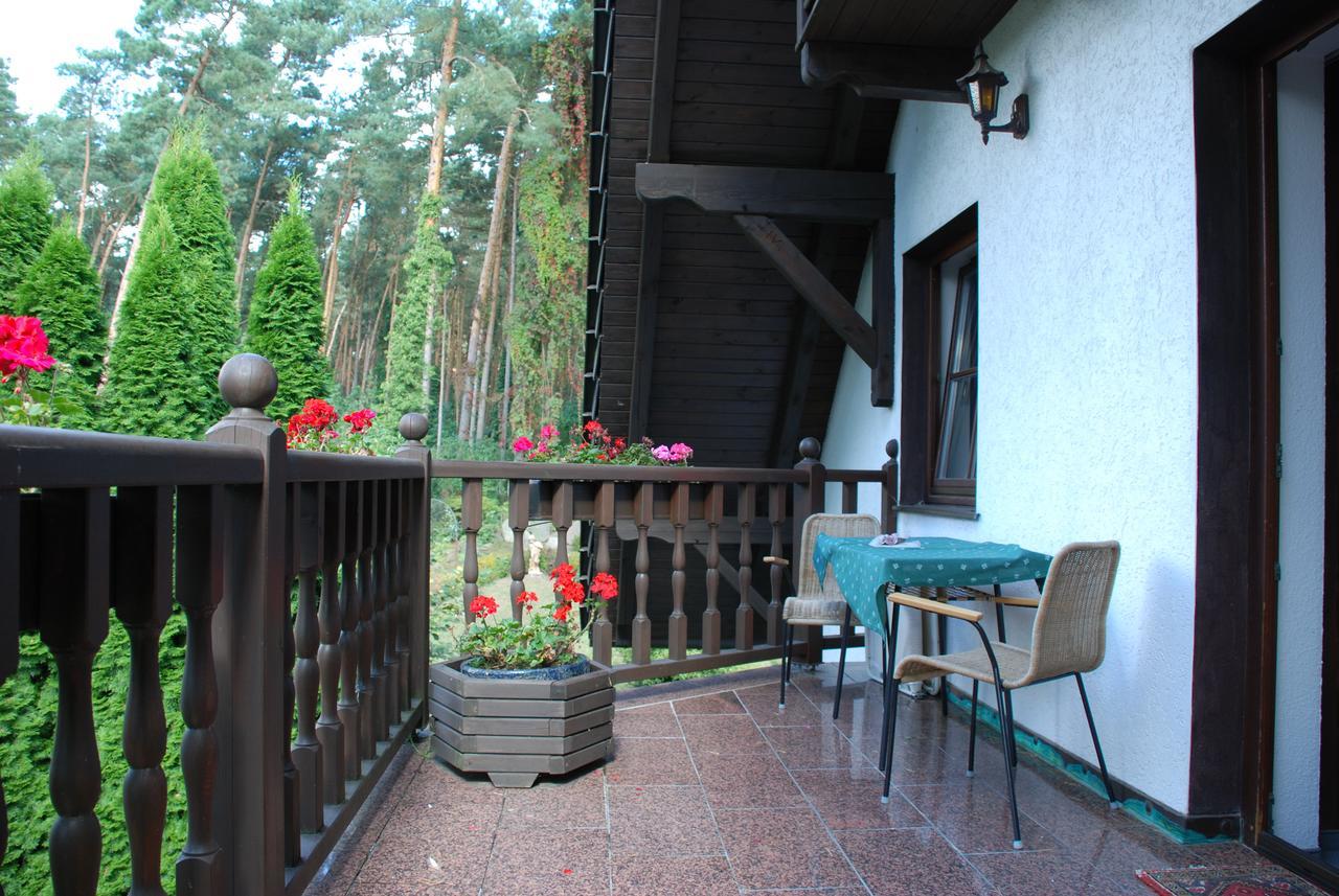 Pension Tannenspitze Wittenberg Экстерьер фото