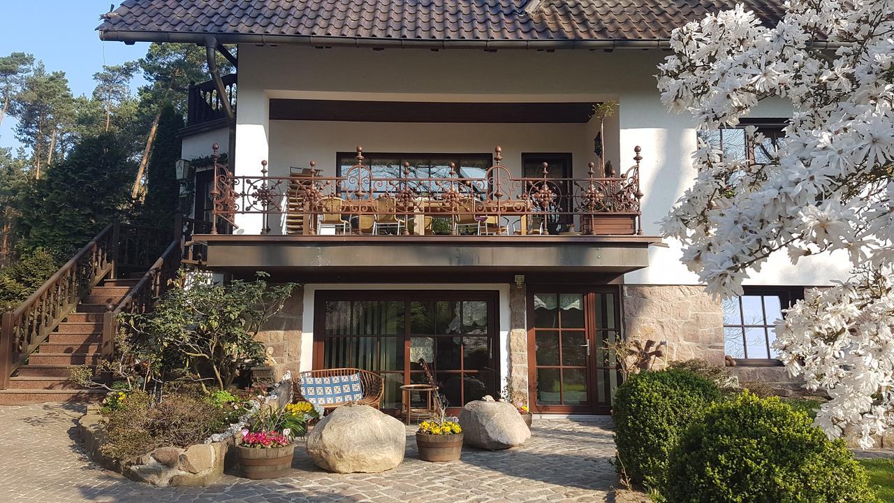 Pension Tannenspitze Wittenberg Экстерьер фото